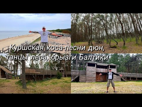 Видео: Куршская Коса 2024: Куршский залив/Высота Мюллера/Озеро Чайка/Танцующий лес/Высота Эфа/Балтика