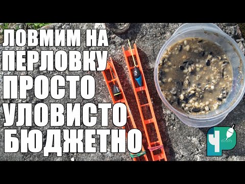Видео: Ловим на перловку.  Просто Бюджетно Уловисто