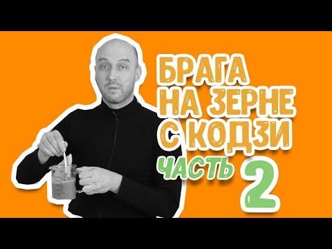 Видео: Зерновое самогоноварение: часть 2. Пшеничная зерновая брага на кодзи Ангел