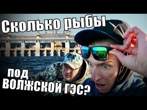 Видео: Сколько РЫБЫ под ВОЛЖСКОЙ ГЭС? На лодке по Волгограду с ихтиологом