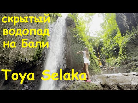 Видео: Скрытый водопад На Бали. Toya Selaka waterfall