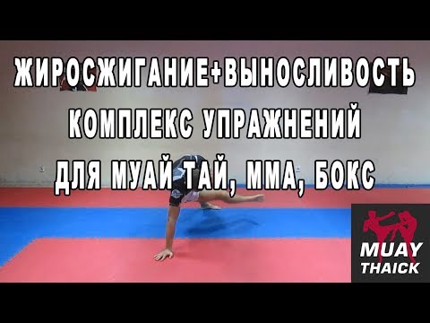 Видео: Жиросжигание+выносливость - комплекс упражнений для муай тай, мма, бокс