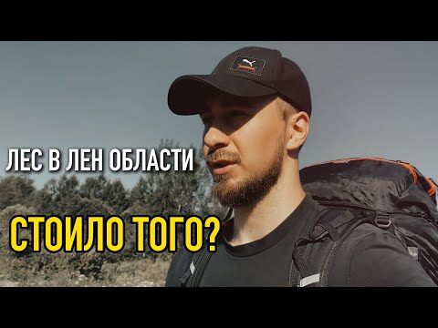 Видео: Лесной Поход 2024 Сбегаем В Природу Ленинградской Области #поход #лес #палатка #санктпетербург