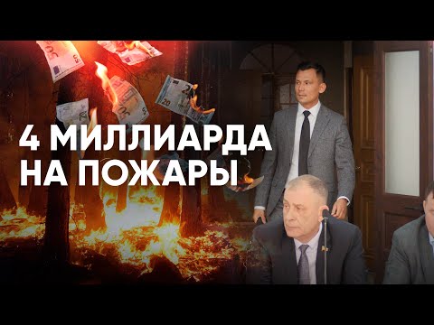 Видео: Трагедия в 2024 году стала уроком? Власти рассказали о подготовке к лесным пожарам