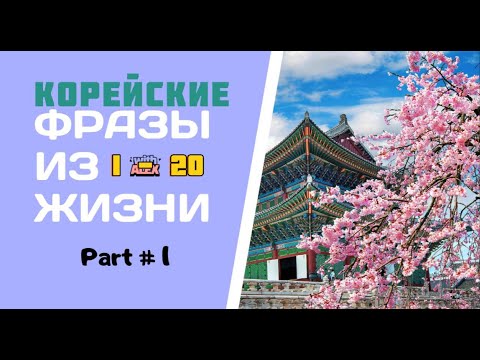 Видео: (1-20) КОРЕЙСКИЕ ФРАЗЫ | Корейский с Алексом