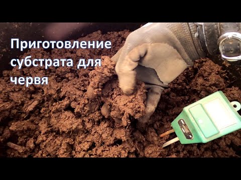 Видео: 🐛 Выращивание червя дендробена часть 4. Приготовление субстрата для червей #DENLife