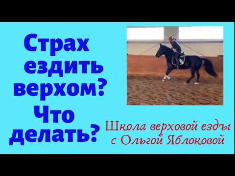 Видео: СТРАХ ЕЗДИТЬ ВЕРХОМ? ЧТО ДЕЛАТЬ?