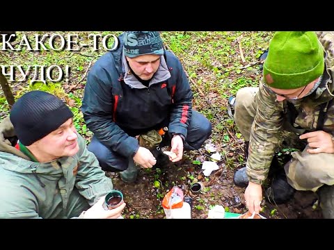 Видео: ДВА ДНЯ КОПАЛИ, ЭТО КАКОЕ-ТО ЧУДО!
