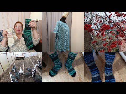 Видео: Влог одного дня. Мои мускусные утки, вязания, готовлю чебуреки.