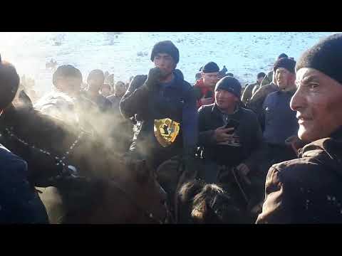 Видео: Манас Ниязов 12.11.2022 жыл Алтын курга таштады.... Семизгол айылы