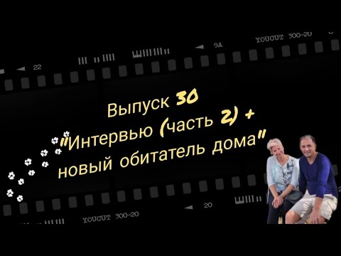 Видео: Интервью с интересными людьми (часть 2)