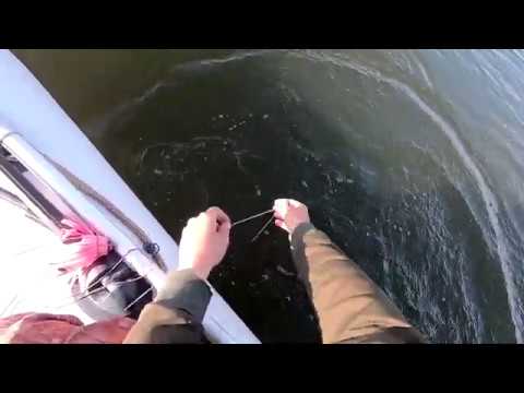 Видео: Рыбалка на квок. Открытие по сому.. Крупный сом на нересте!?