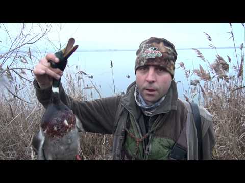 Видео: Лов на водоплаващ дивеч ЛОВЕН КЛУБ епизод.4 2018г.