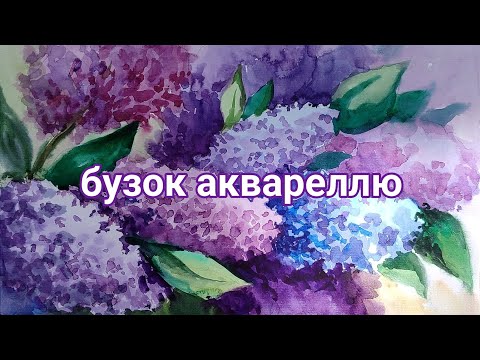 Видео: Бузок аквареллю. Етапи малювання.