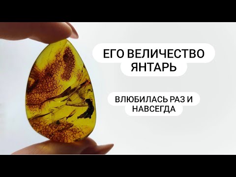 Видео: Его Величество ЯНТАРЬ и градуированный кокос