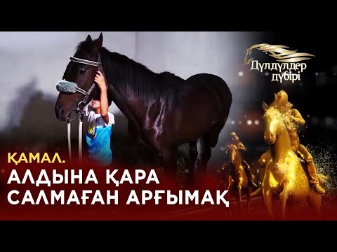 Видео: Қамал. Алдына қара салмаған арғымақ. «Дүлдүлдер дүбірі». Бәйге.