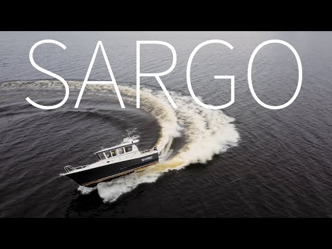 Видео: Sargo и Targa #boat #yachts #катер #sargoboats #sargo36