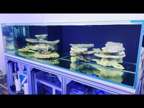 Видео: MegaTank система подмены воды на 600 литров ☠️