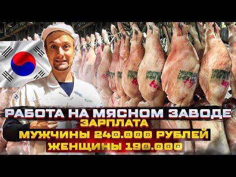 Видео: Работа на мясном заводе в Южной Корее 2024