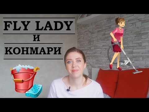 Видео: Что я взяла из систем уборки FLY LADY и КОНМАРИ