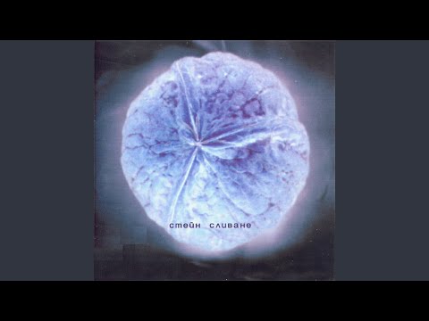 Видео: Сухи цветя