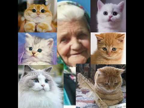 Видео: 5 Серия из 6",ВАСЯТА";автор,исп.Александр Петриченко.