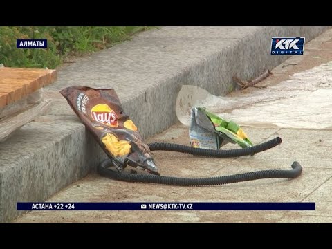 Видео: «Это не люди, это свиньи»: отдыхающих на Сайране начали штрафовать