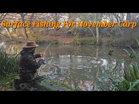 Видео: Ловля карпа с поверхности в НОЯБРЕ — НЕ ПРОБЛЕМА!