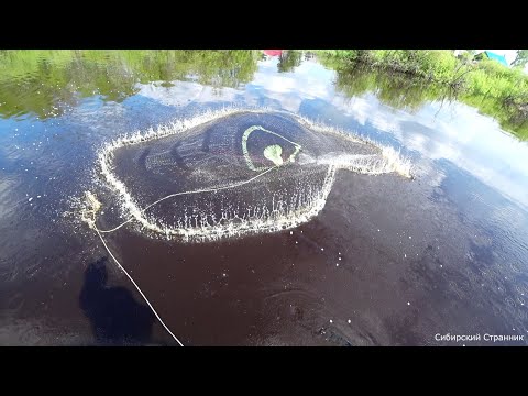 Видео: Сазан на накрывушку. Взял с собой новичка и сразу фартануло.