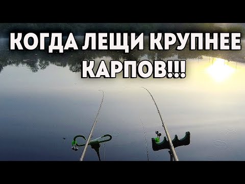 Видео: Нервным лучше не смотреть🐟🐟🐟.МОЩНЫЕ ПОКЛЕВКИ ЛЕЩА. Рыбалка на фидер.