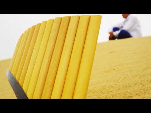 Видео: Холбоо нуур Панфлейта хөгжимчин Б.Пүрэвээ