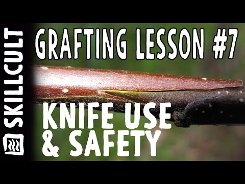 Видео: Урок №7 по прививке: Использование ножа и техника безопасности