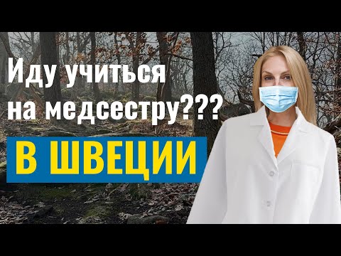Видео: В Швеции нужны медсестры - Выбираю программу в колледже, чтобы получить работу