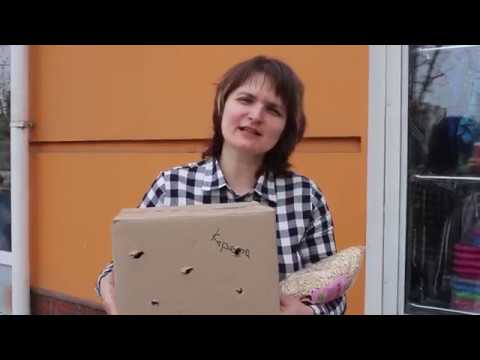 Видео: Кого мы купили в зоомагазине