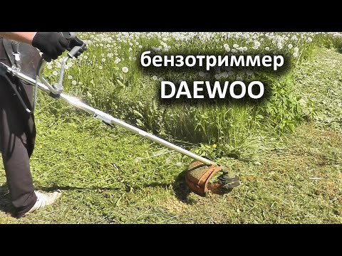 Видео: Триммер бензиновый/Мотокоса DAEWOO DABC 420  - три гектара покоса.  Отзыв.