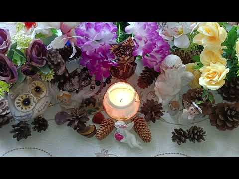 Видео: Нашата храна🍓🥭🍅🍏🥒🌽🥦