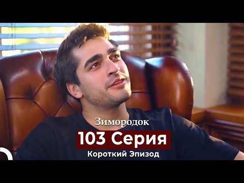 Видео: Зимородок 103 Cерия (Короткий Эпизод) (Русский дубляж)