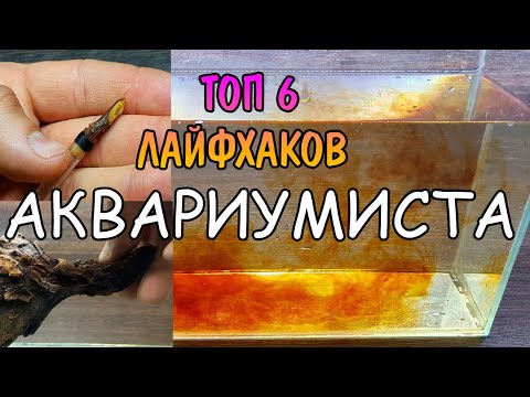 Видео: ТОП-6 ЛАЙФХАКОВ АКВАРИУМИСТА. Часть 1