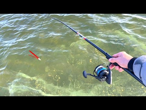 Видео: РУКИ ТРЯСУТСЯ...КРУПНЯК ОТКРЫТОЙ ВОДЫ! Поплавок РАЗДАЁТ. Первая рыбалка на удочку 2025