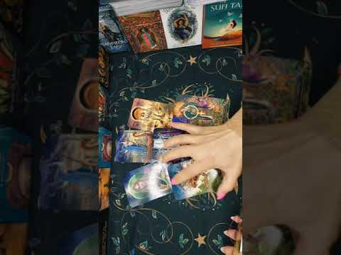 Видео: 💭❓️Какво се случва с него и съперницата?