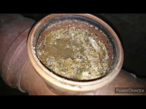 Видео: #засорканализации Прочистка канализации. Засор. Тараканы.