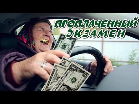 Видео: Как выглядит "проплаченный" #экзамен