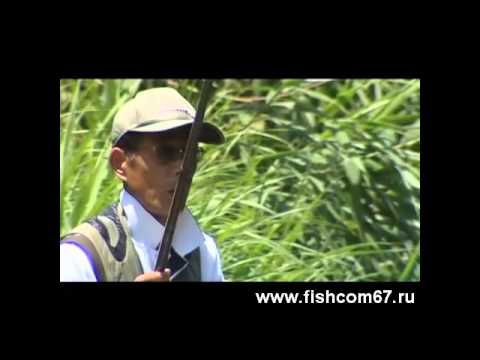 Видео: Рыбалка в Японии и бонус