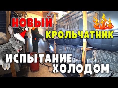 Видео: Новый крольчатник / Испытание холодом