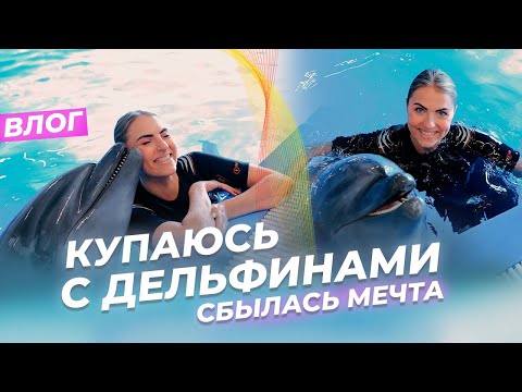 Видео: ПЛАВАНИЕ С ДЕЛЬФИНОМ | Влог из Москвариума. Идея для свидания. Поход в дельфинарий