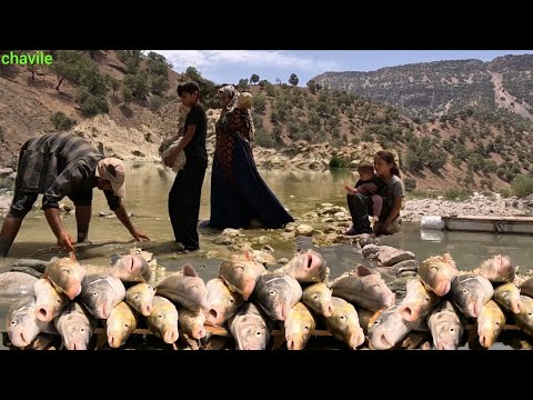 Видео: Традиционная рыбалка кочевой семьи в горной реке Ирана🎣🏞 | Реальная жизнь кочевников