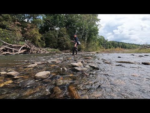 Видео: Приморский край. Рыбалка на реке Арсеньевка.
