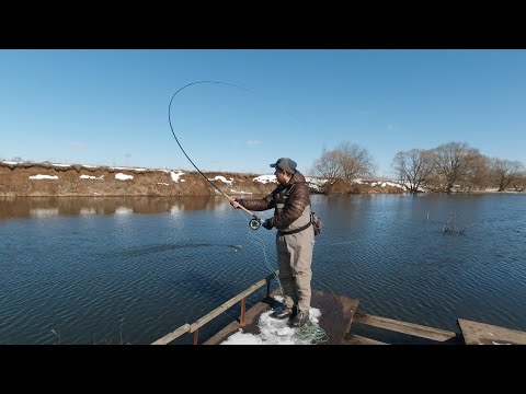 Видео: Работа коротким скагитом (Skagit) с  длинным удилищем.