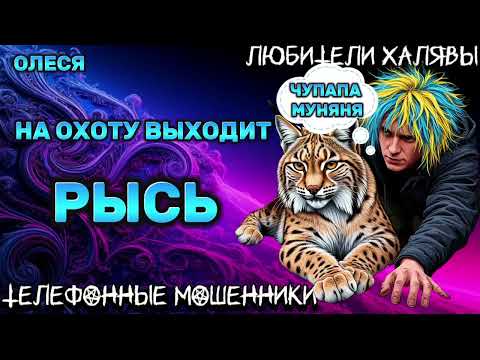 Видео: ⚡ ОЛЕСЯ. НА ОХОТУ ВЫХОДИТ РЫСЬ | ТЕЛЕФОННЫЕ МОШЕННИКИ