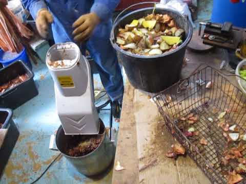 Видео: БГВ 14 Чёрная Львинка моё самое слезливое видео